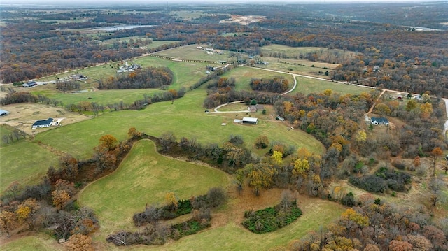 bird's eye view featuring a rural view