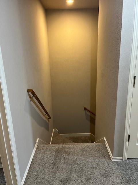 stairway with carpet flooring