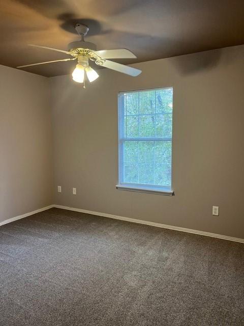 empty room with carpet flooring and ceiling fan