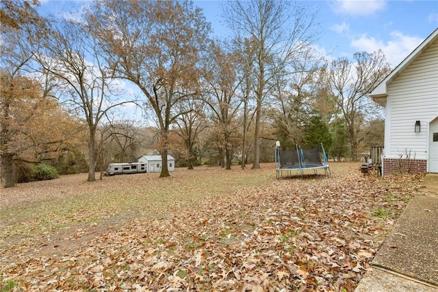 view of yard with a trampoline