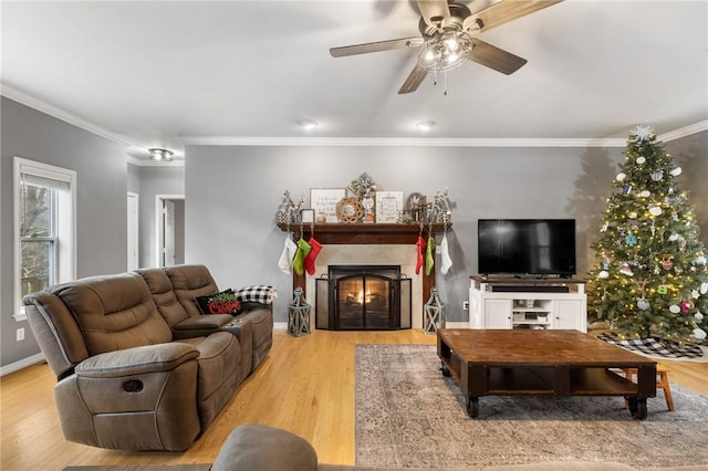 living room featuring ceiling fan, ornamental molding, and light wood-type flooring