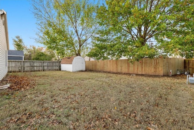 view of yard with a shed