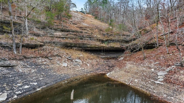 view of local wilderness featuring a water view