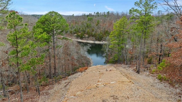 view of water feature