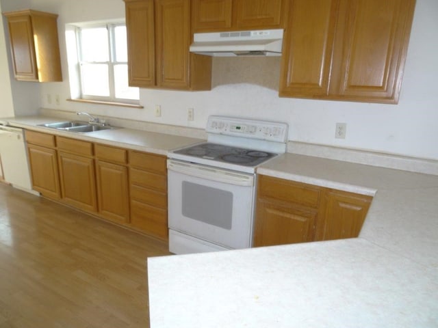 kitchen featuring light hardwood / wood-style floors, white appliances, and sink