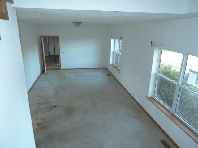 empty room featuring a textured ceiling, light carpet, and a wealth of natural light