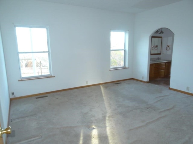 carpeted empty room with sink and a healthy amount of sunlight