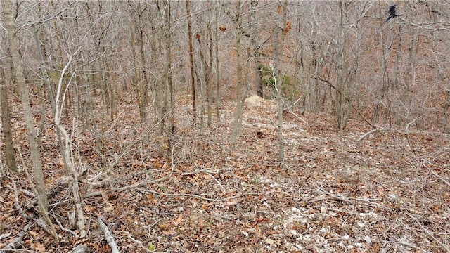 3 Havant Cir, Bella Vista, AR 72714