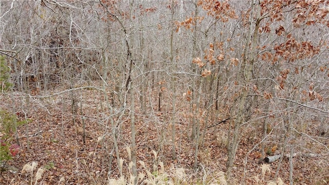 3 Havant Cir, Bella Vista, AR 72714