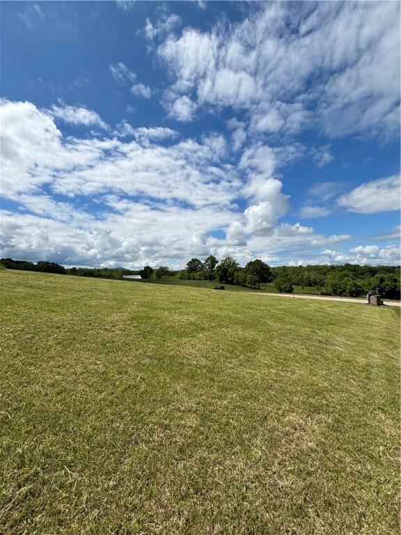 47 La Vista Cir, Harrison, AR 72601 - photo 1