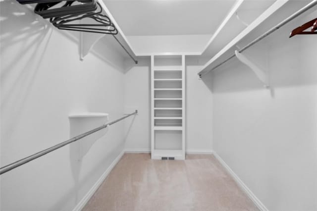 walk in closet with light carpet