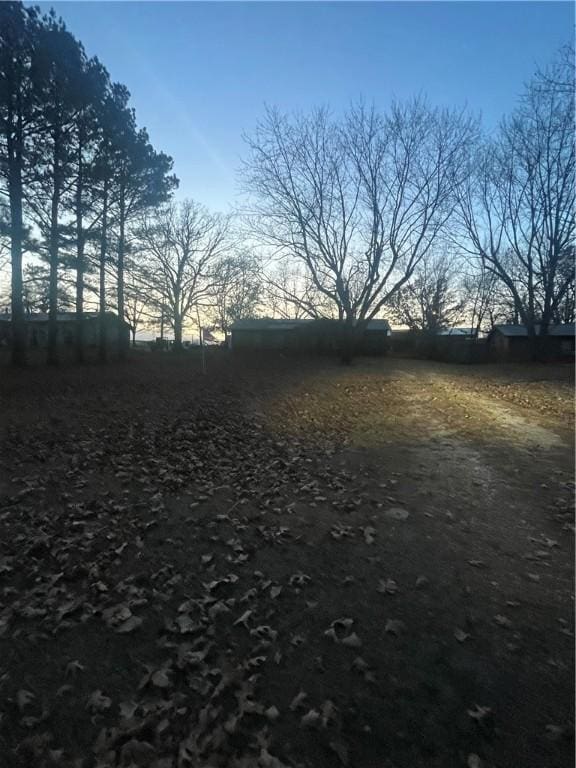 view of yard at dusk