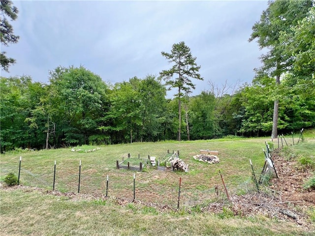 view of yard with a rural view