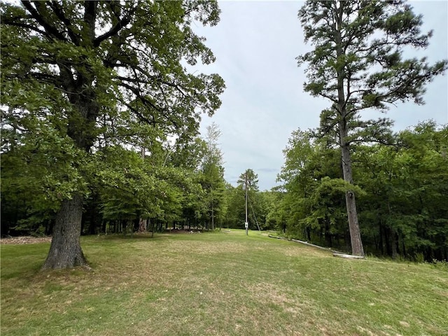 426 Van Buren, Eureka Springs, AR 72632 - view of green lawn featuring a view of trees