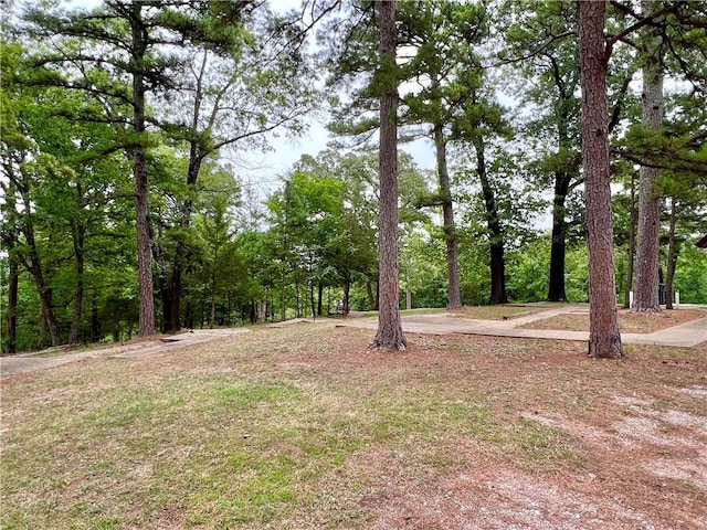 426 Van Buren, Eureka Springs, AR 72632 - view of yard