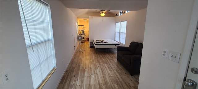 living room featuring ceiling fan and wood-type flooring