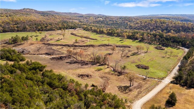 63.07ACRES Marion County Rd, Yellville, AR 72687 - photo 19