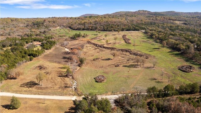 63.07ACRES Marion County Rd, Yellville, AR 72687 - photo 20