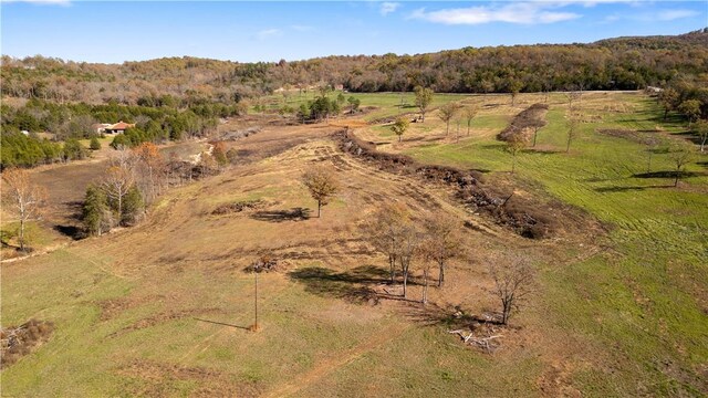 63.07ACRES Marion County Rd, Yellville, AR 72687 - photo 21