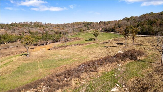 63.07ACRES Marion County Rd, Yellville, AR 72687 - photo 22