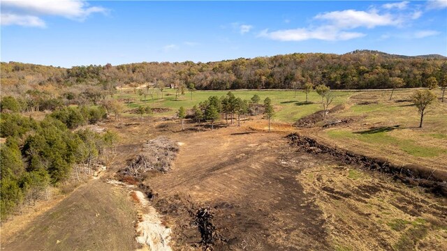 63.07ACRES Marion County Rd, Yellville, AR 72687 - photo 23
