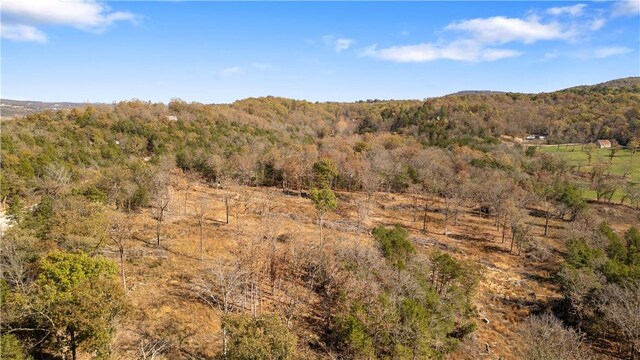 63.07ACRES Marion County Rd, Yellville, AR 72687 - photo 24