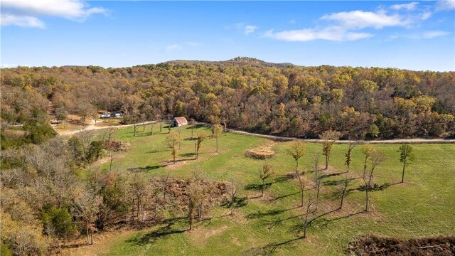 63.07ACRES Marion County Rd, Yellville, AR 72687 - photo 25