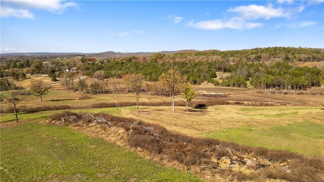 63.07ACRES Marion County Rd, Yellville, AR 72687 - photo 5