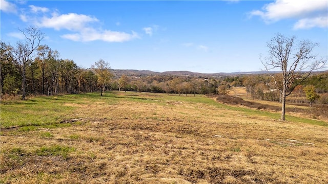 63.07ACRES Marion County Rd, Yellville, AR 72687 - photo 7