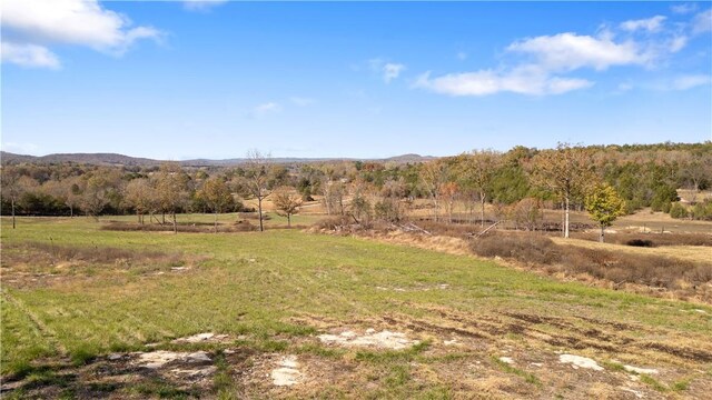 63.07ACRES Marion County Rd, Yellville, AR 72687 - photo 8