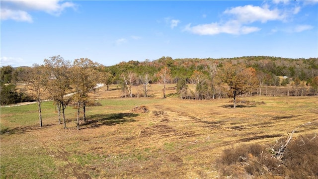 63.07ACRES Marion County Rd, Yellville, AR 72687 - photo 9