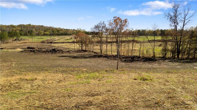 63.07ACRES Marion County Rd, Yellville, AR 72687 - photo 10