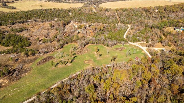 63.07ACRES Marion County Rd, Yellville, AR 72687 - photo 12