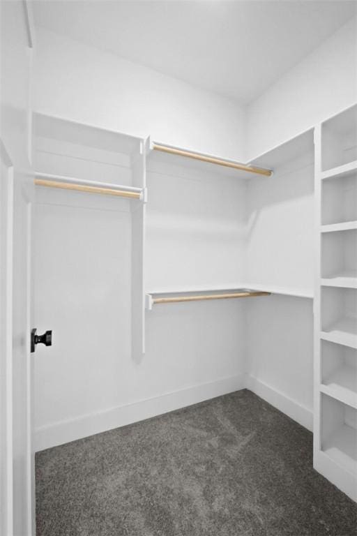 8893 Williams Rd, Rogers, AR 72756 - spacious closet featuring dark carpet