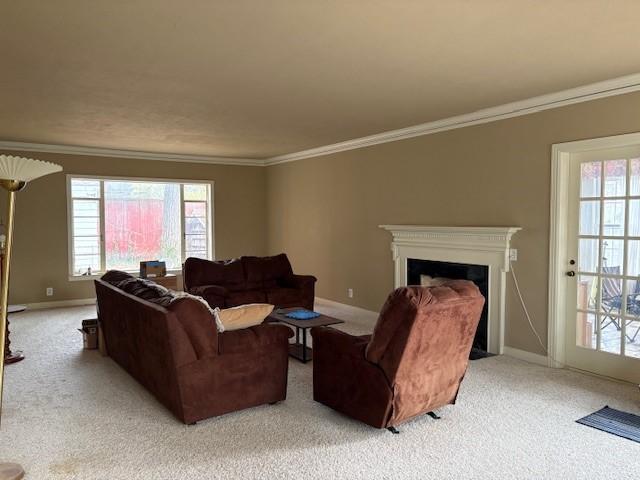 carpeted living room with crown molding