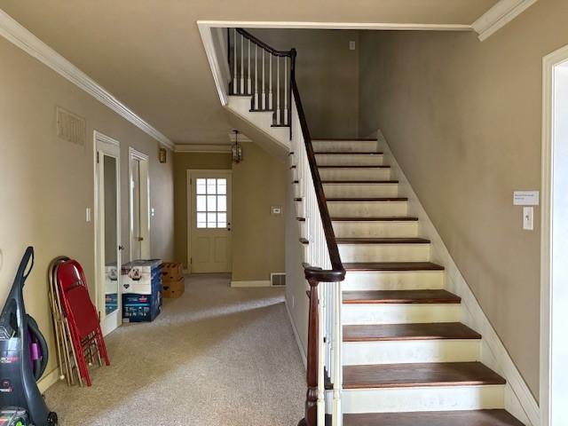 stairway with carpet and ornamental molding