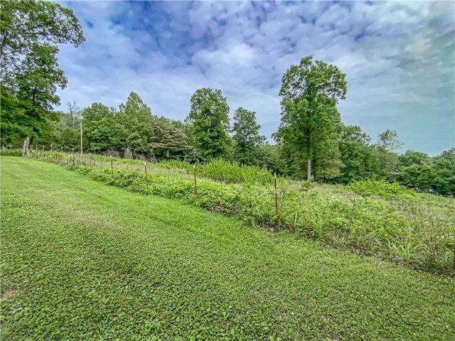 view of yard with a rural view