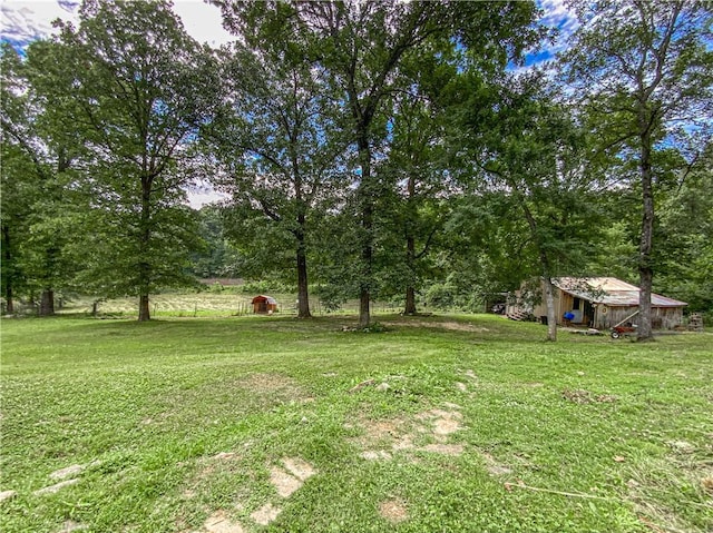 view of yard with a shed