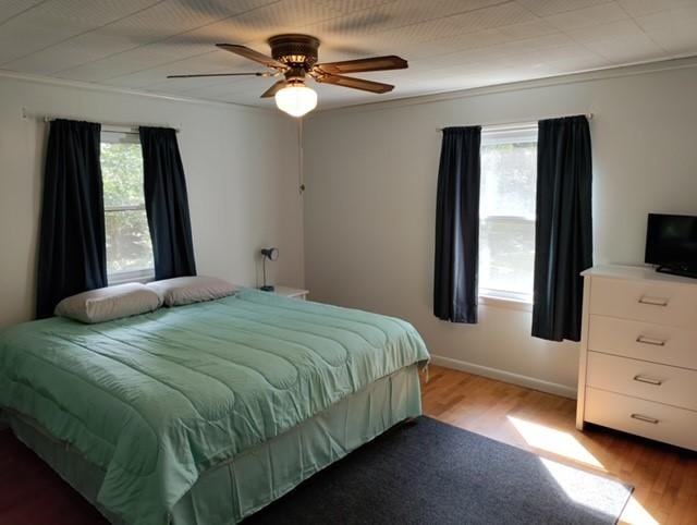 bedroom featuring multiple windows, ceiling fan, and light wood-type flooring