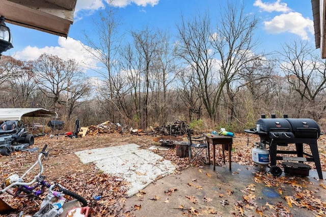 view of yard with a detached carport and a patio area