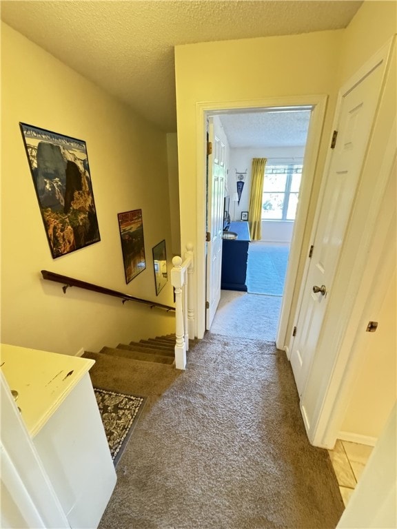 hallway with carpet and a textured ceiling