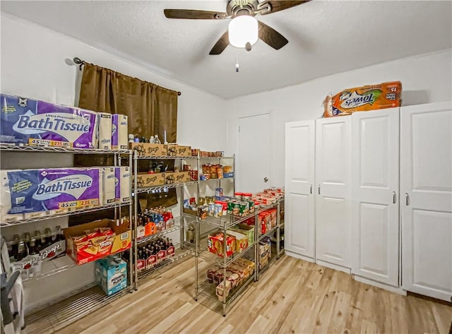 storage room with ceiling fan