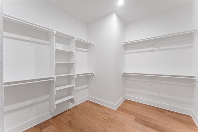 walk in closet with hardwood / wood-style flooring