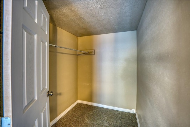 spacious closet featuring carpet flooring