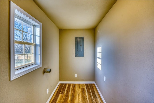 spare room featuring hardwood / wood-style floors, electric panel, and plenty of natural light