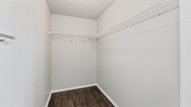 spacious closet featuring wood-type flooring