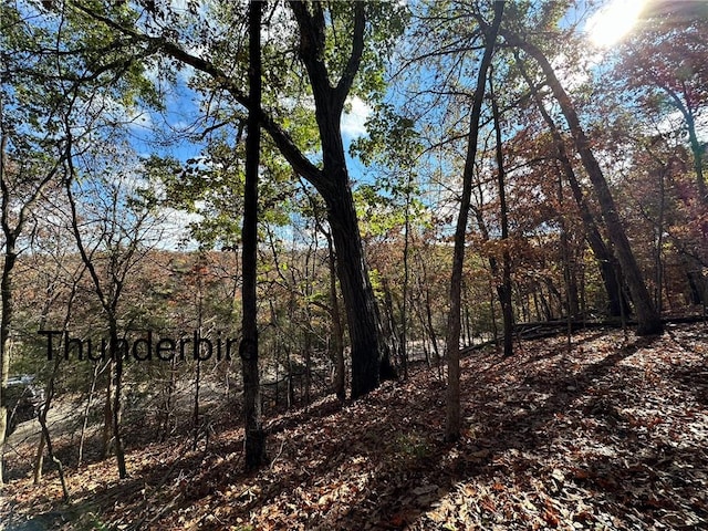 LOT13 Thunderbird Dr, Holiday Island AR, 72631 land for sale