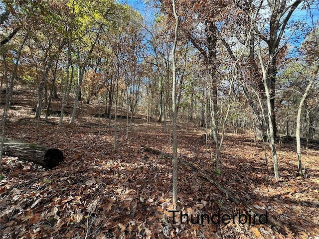 Listing photo 2 for LOT13 Thunderbird Dr, Holiday Island AR 72631