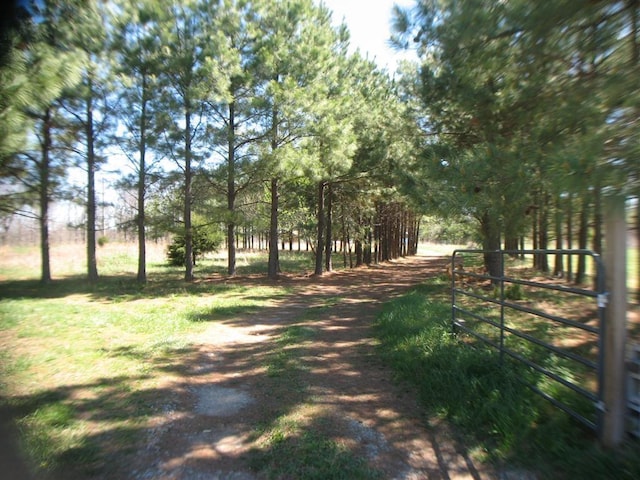 view of street