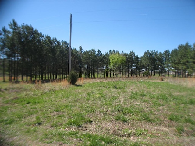 view of yard featuring a rural view